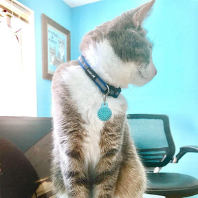 Breakaway Cat Collar "The Travel Cat"