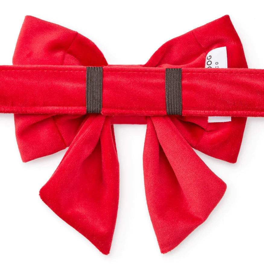 Dog Bow Cranberry Velvet Lady