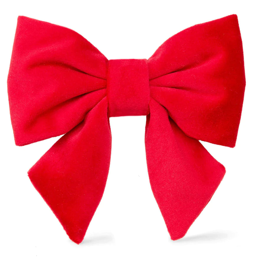 Dog Bow Cranberry Velvet Lady