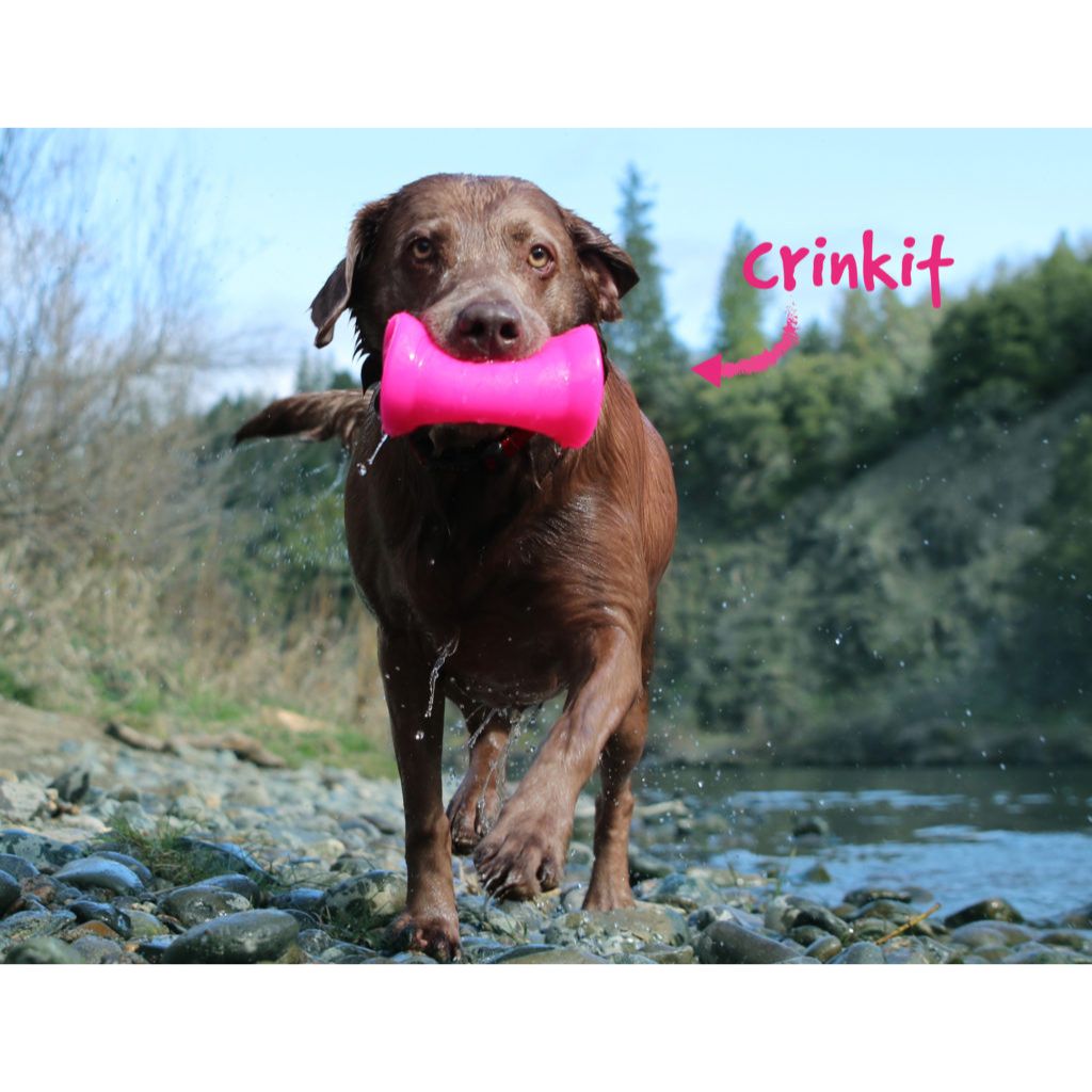 RufDawg - Crinkit Dog Toy