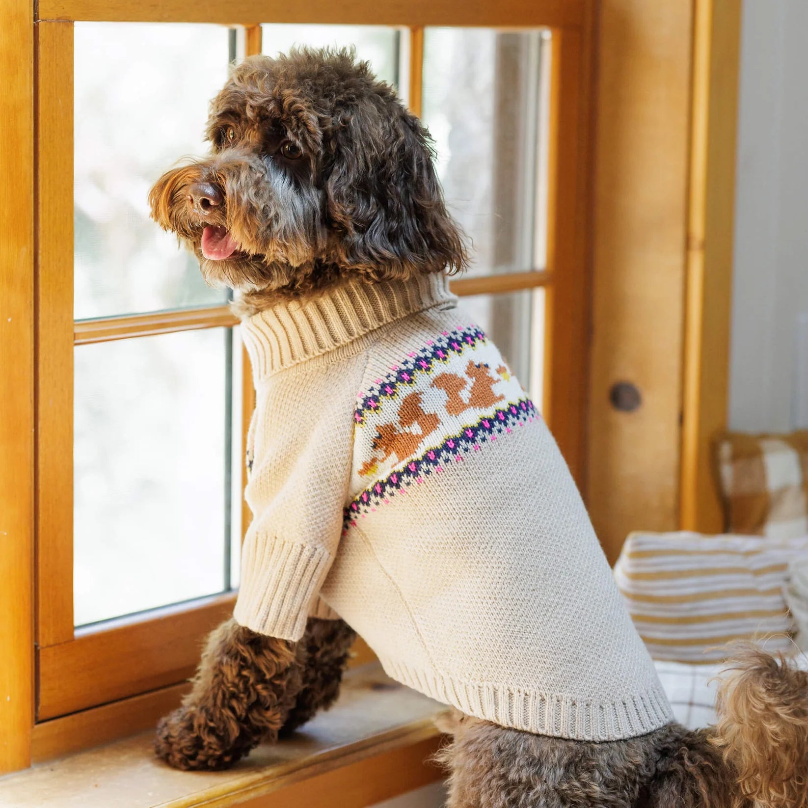 Dog Sweater Squirrel Cable Knit