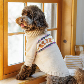 Dog Sweater Squirrel Cable Knit