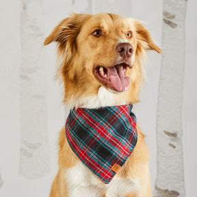 Bandana Dog Draper James xTFD Georgia Plaid