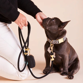 Dog Collar Houndstooth Flannel