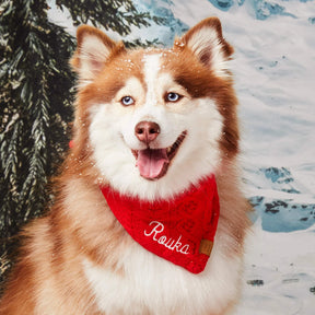 Dog Bandana Cable Knit