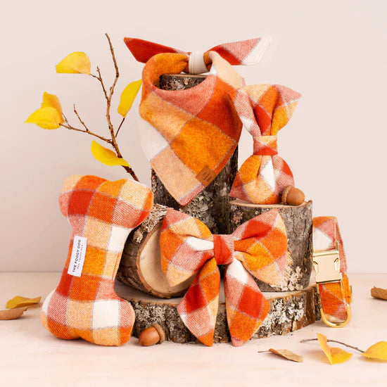 Dog Collar Pumpkin Spice Flannel Fall