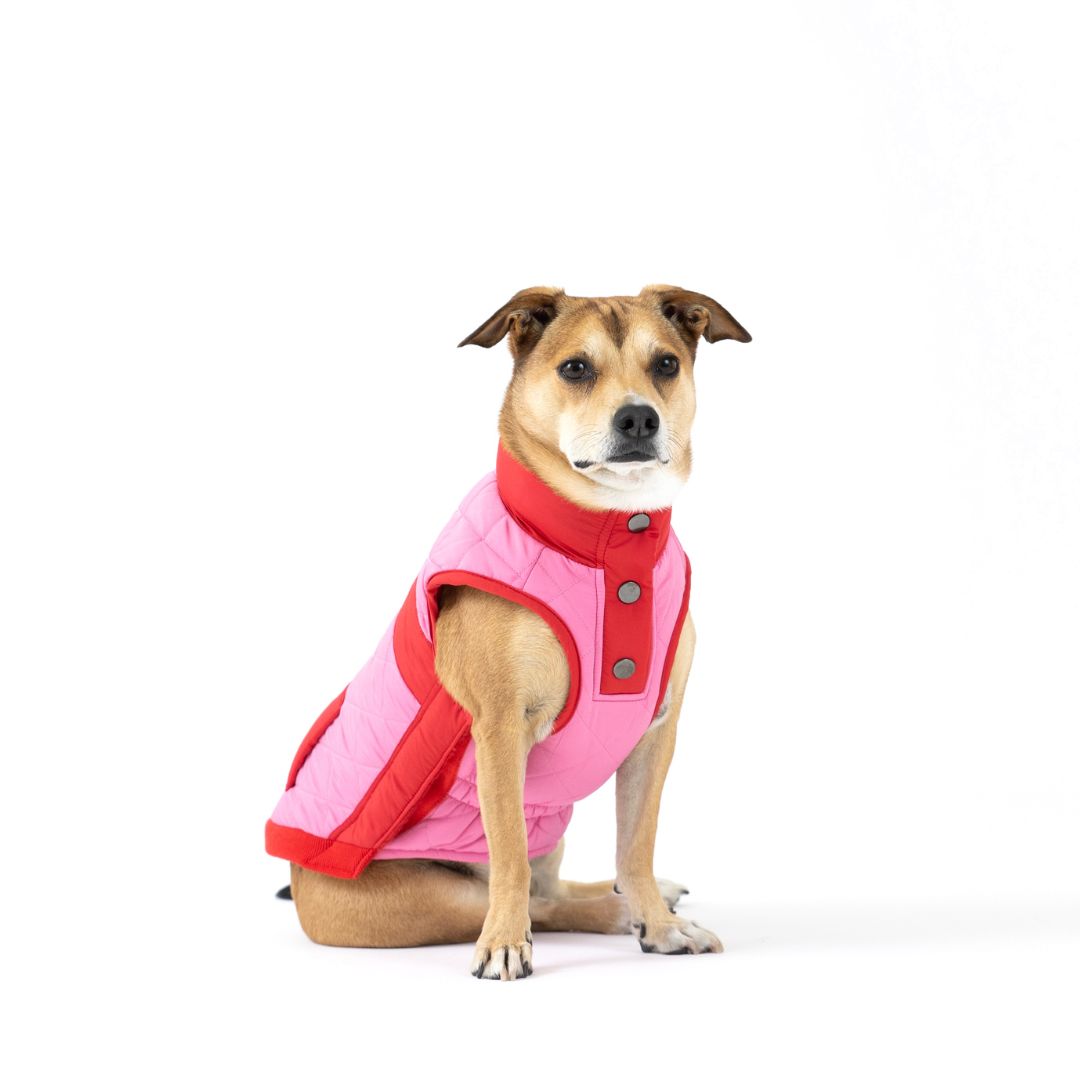 Fabdog Vest Fab Ski Quilted