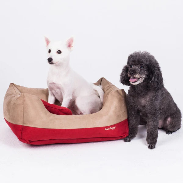 Color-Block Premium Microsuede Dog Bed Cover