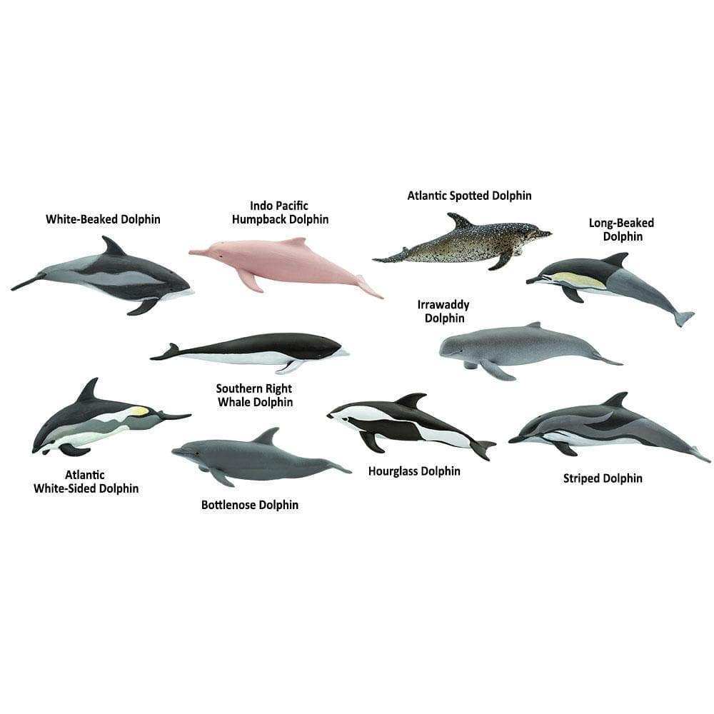 Toob Dolphins