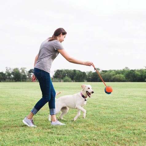 Rope Fetch Ball With Bungee Handle Stored On Sides