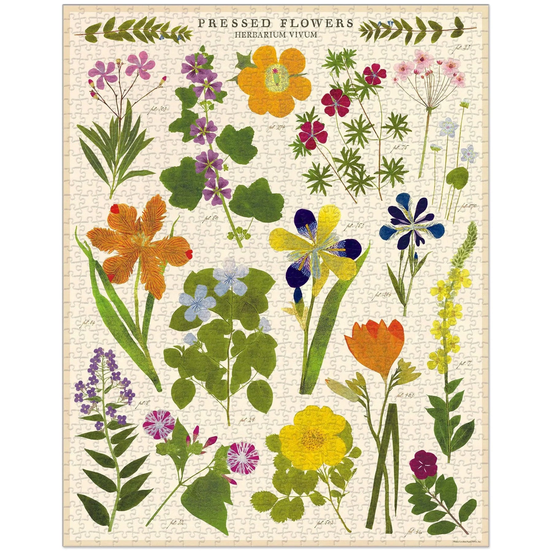 Cavallini & Co. - Puzzle Pressed Flowers