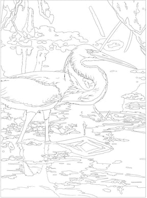 Coloring Book - National Parks