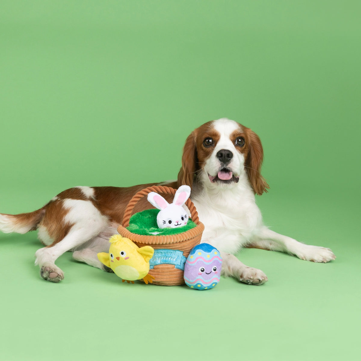 Petshop by Fringe Studio - Dog Toy Egg Hunt