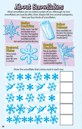 Activity Book - Sensational	Snow Day Puzzles for Kids