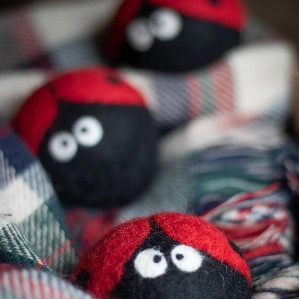 Friendsheep - Eco Dryer Ball Ladybug (Set of 3)