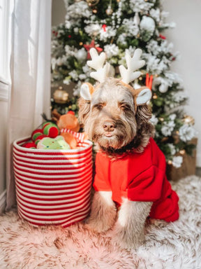 Midlee - Candy Cane Rope Basket