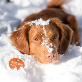 Hemp By Hownd Skin, Nose & Paw Balm With Sun Protection