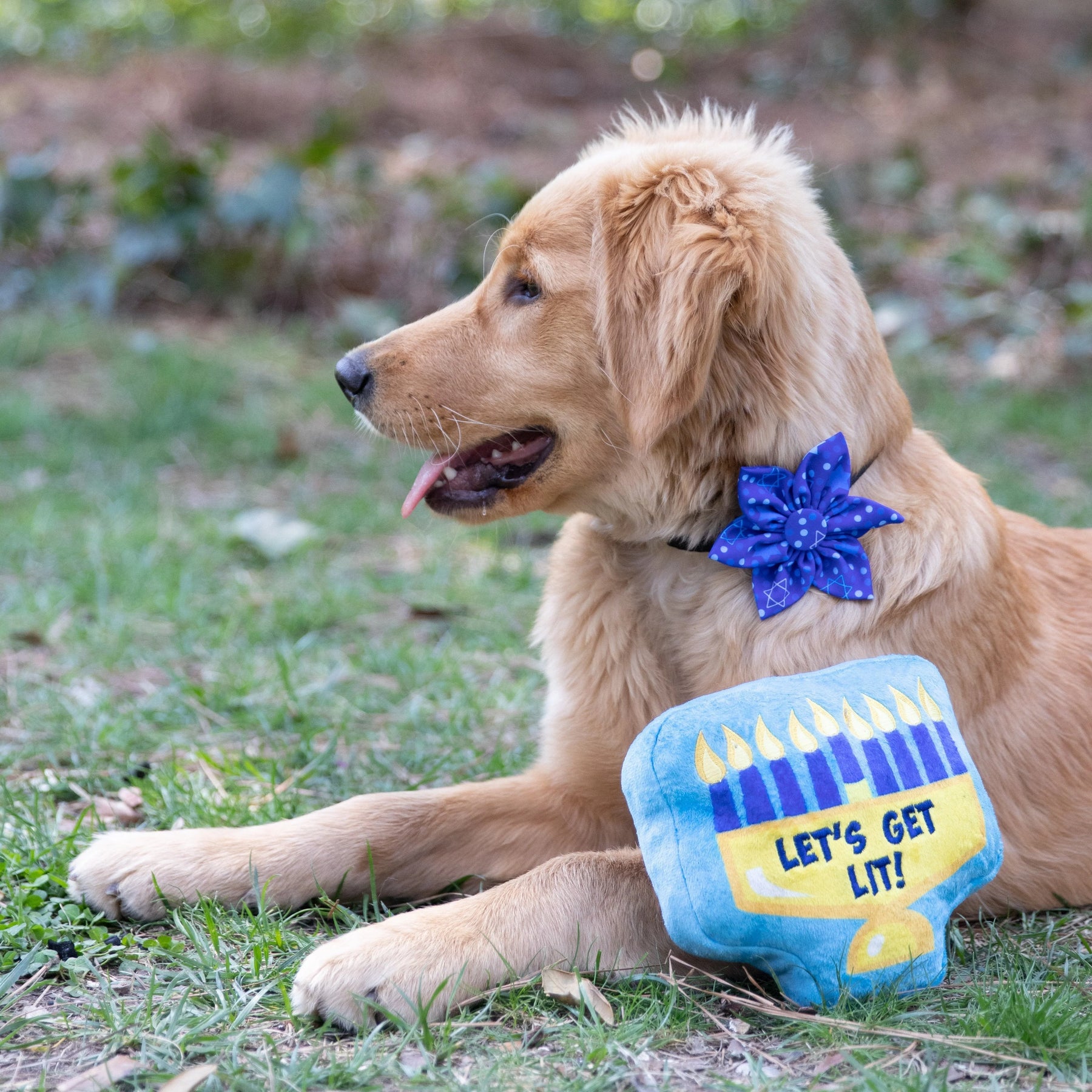 Huxley & Kent - Pinwheel Hanukkah Stars & Dots