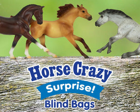 Breyer - Horse Crazy Surprise Single Bag