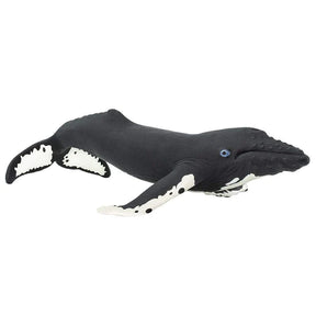 Whale Humpback Toy