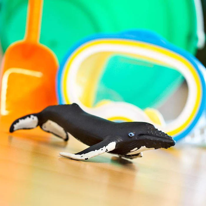 Whale Humpback Toy