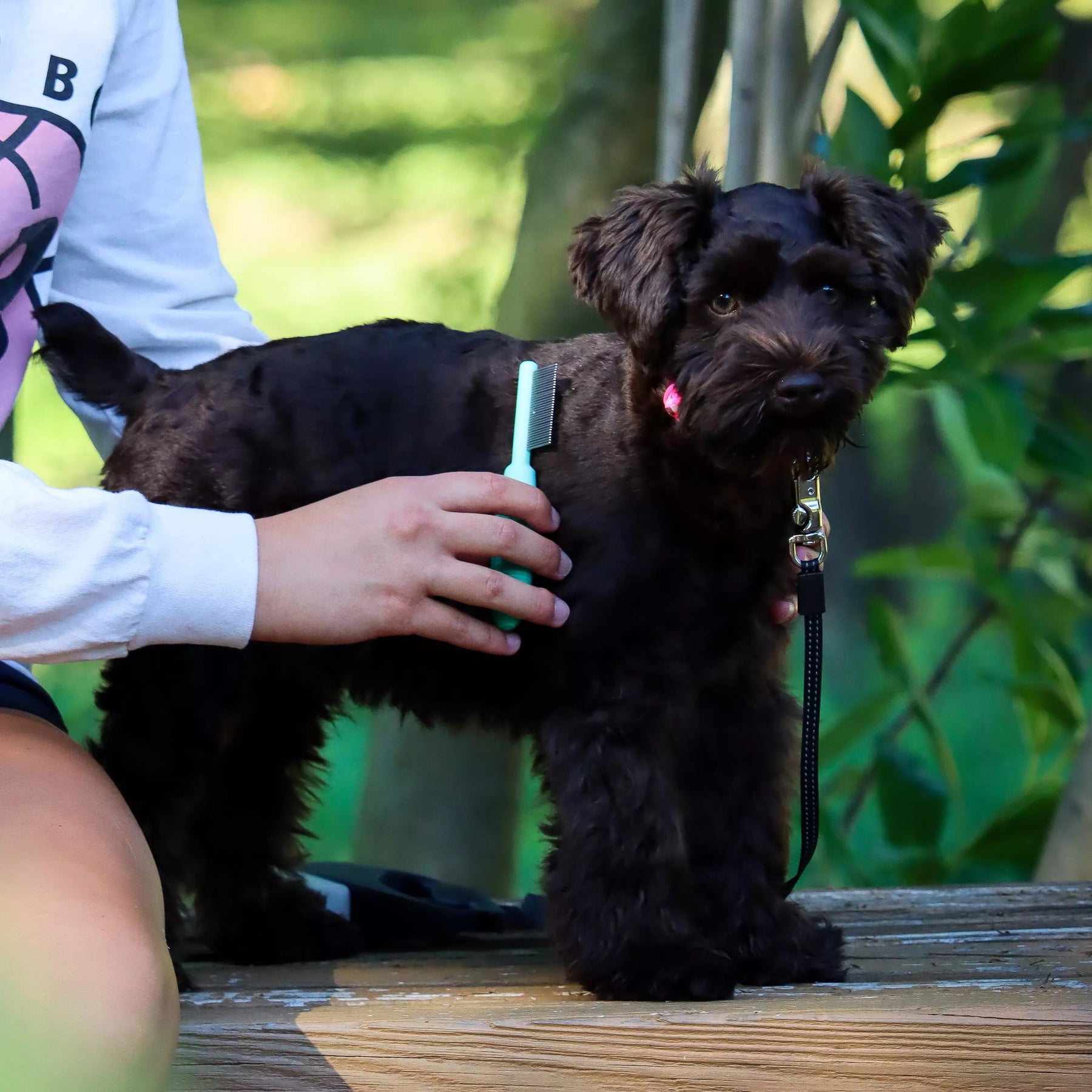 Puppy Grooming Kit Li'l Pals