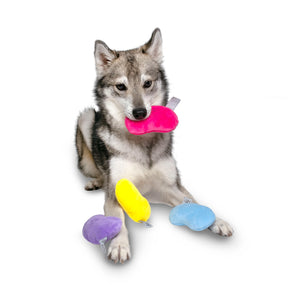 Midlee - Dog Toy Jelly Beans