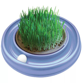 Turbo Cat Grass