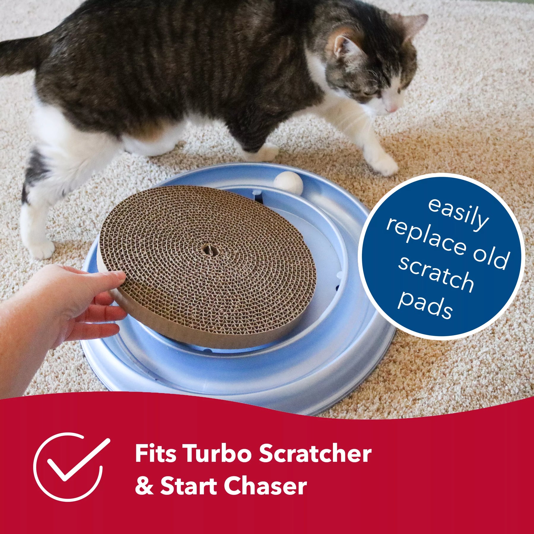 Turbo Scratcher Replacement Pads - 2 Pack