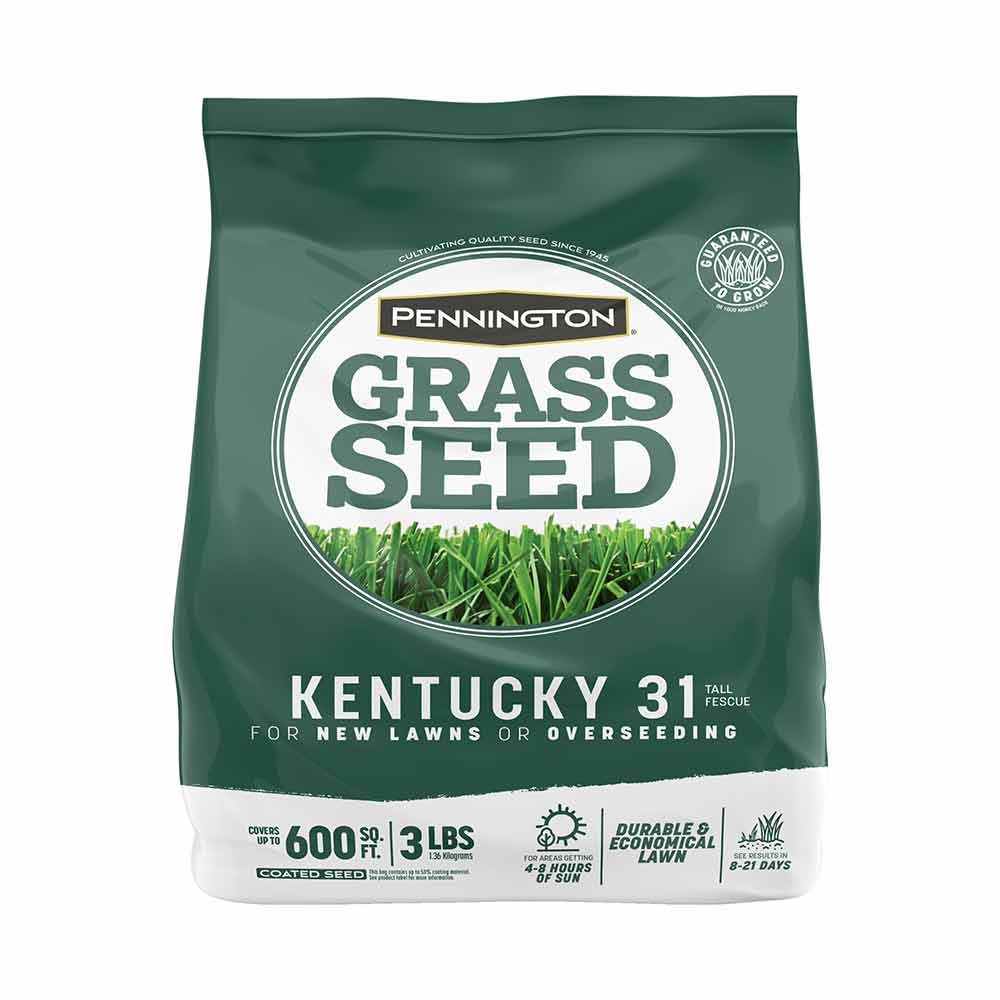 Grass Seed Kentucky 31 Tall Fescue