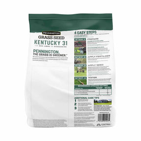 Grass Seed Kentucky 31 Tall Fescue