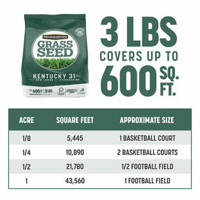 Grass Seed Kentucky 31 Tall Fescue