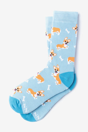 Socks Corgi Gang