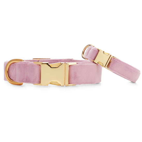 Dog Collar Velvet Lilac