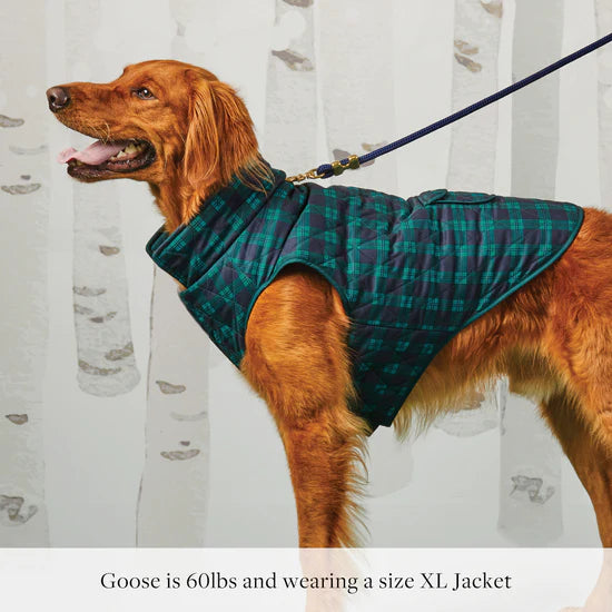 Dog Jacket Black Watch Plaid Reversible