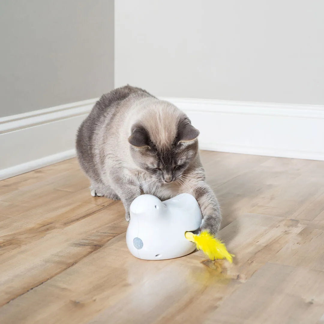 Peek-A-Bird Electronic Cat Toy