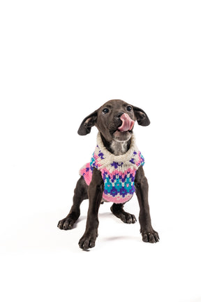 Dog Sweater Pink Ski Bum