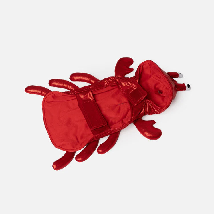 Playful Lobster Dog Costume