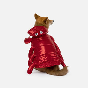 Playful Lobster Dog Costume