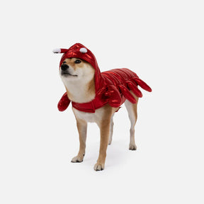 Playful Lobster Dog Costume