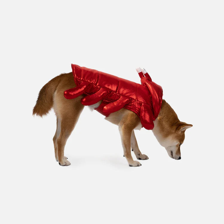 Playful Lobster Dog Costume