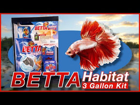 Betta Habitat Kit