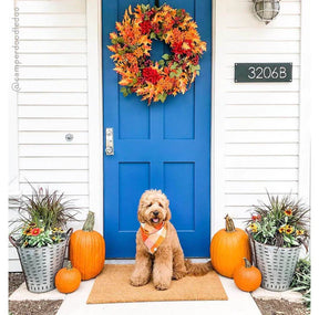 Bandana Dog Pumpkin Spice Flannel Fall