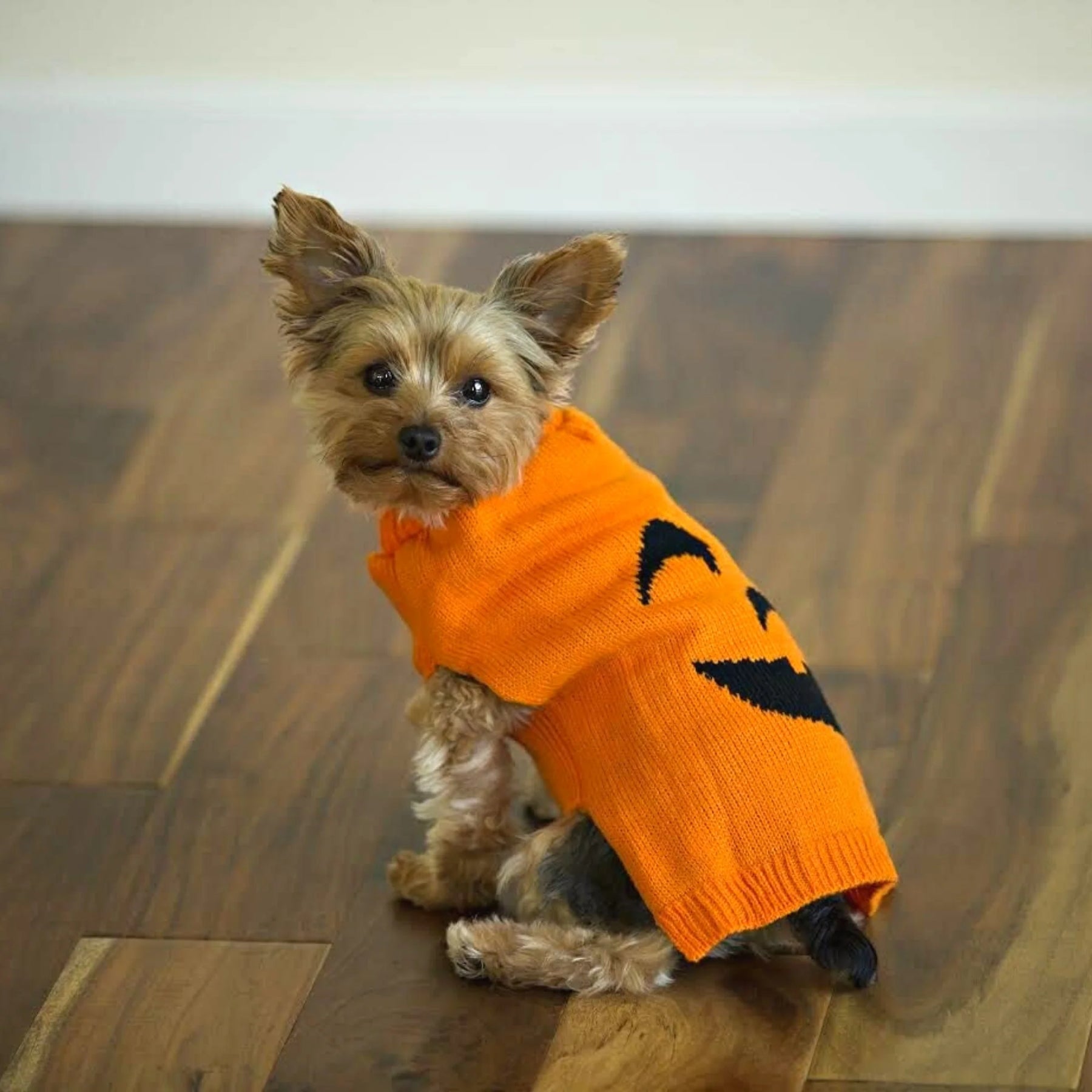 Midlee - Pumpkin Face Dog Sweater