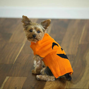 Midlee - Pumpkin Face Dog Sweater