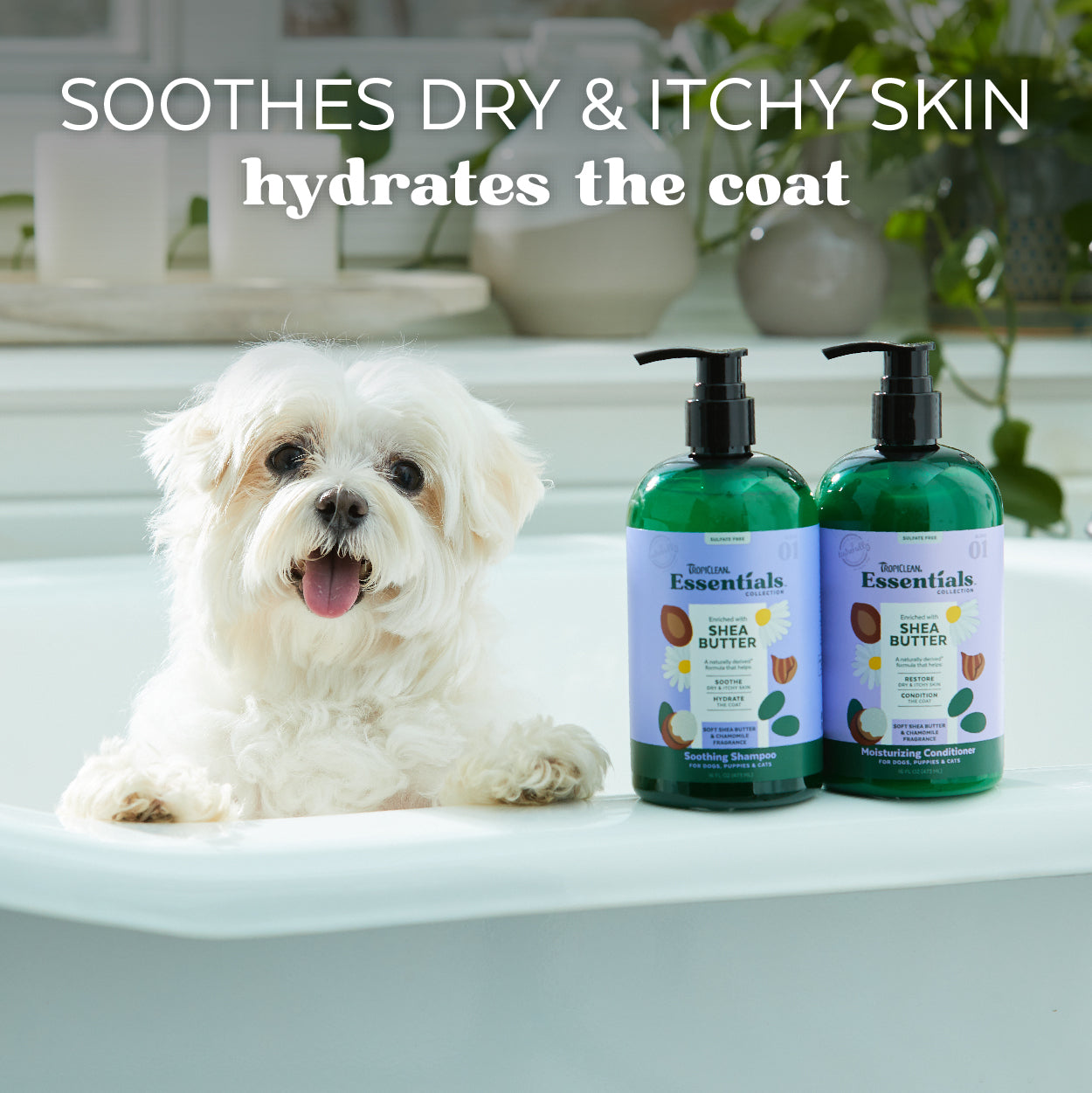 Tropiclean - Essential Shea Butter Conditioner for Dog,Puppies & Cat