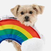 Rainbow Dog Costume