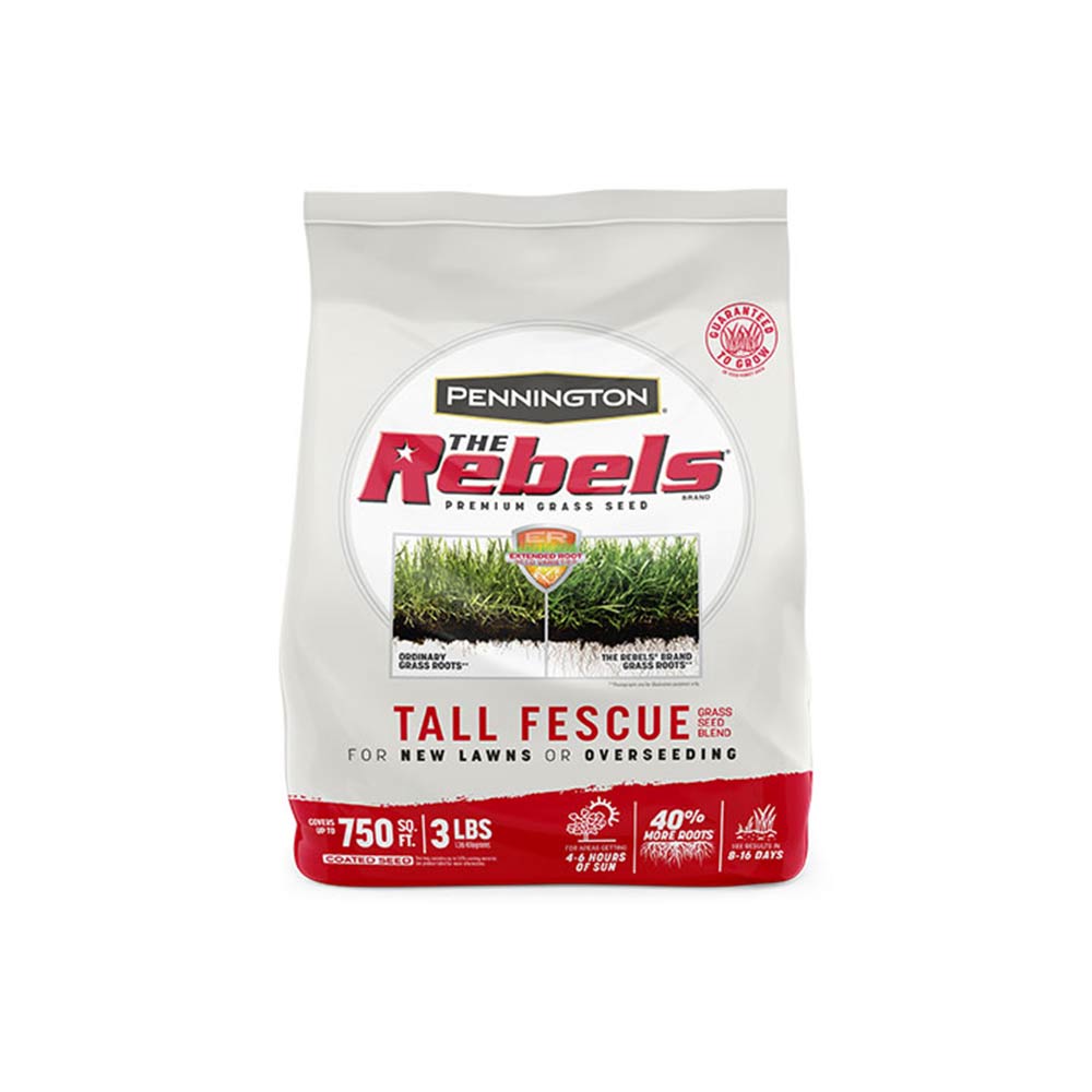 Grass Seed Rebel Tall Fescue