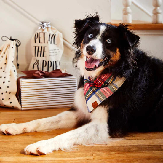 Bandana Dog Holiday Regent Plaid Flannel