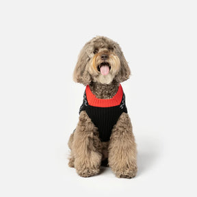 Reindeer Dog Sweater